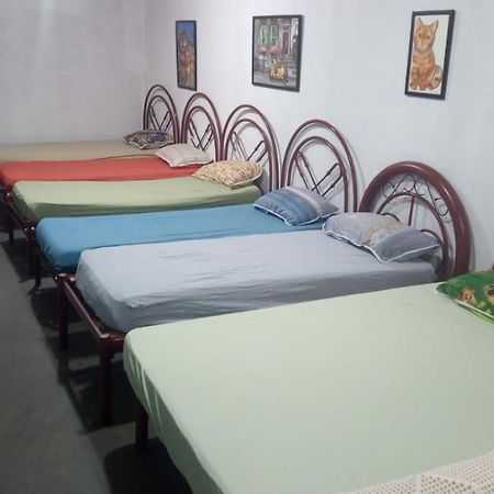 Bragança Paulista Hostel Santuario De Protecao Animal Filhos De Salomao מראה חיצוני תמונה