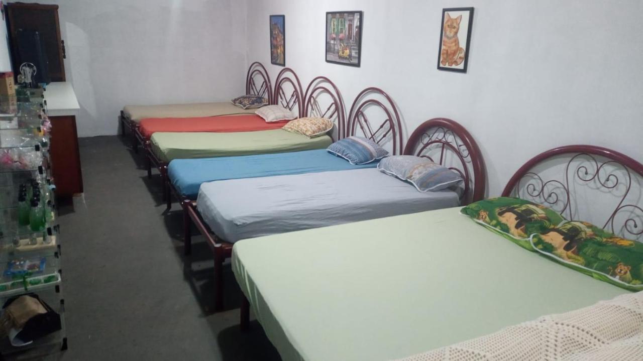 Bragança Paulista Hostel Santuario De Protecao Animal Filhos De Salomao מראה חיצוני תמונה