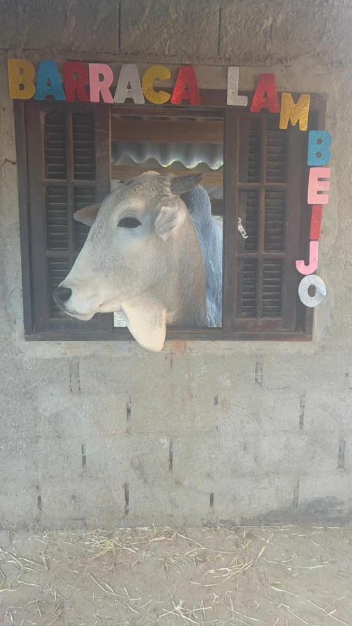 Bragança Paulista Hostel Santuario De Protecao Animal Filhos De Salomao מראה חיצוני תמונה