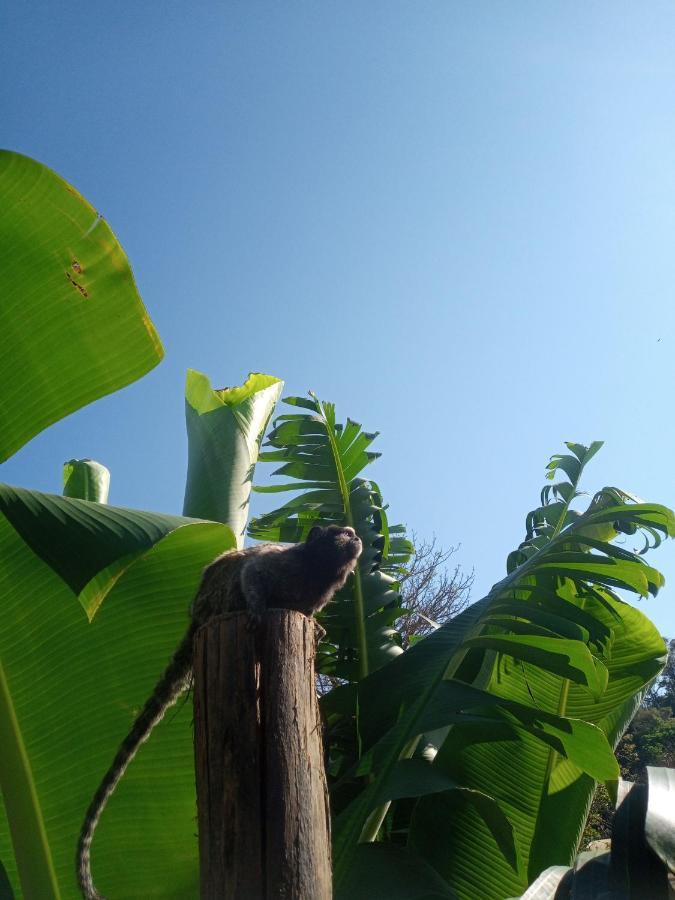 Bragança Paulista Hostel Santuario De Protecao Animal Filhos De Salomao מראה חיצוני תמונה